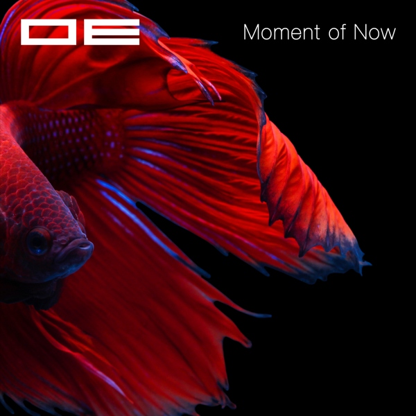 OE - Moment of Now (Suchness 5)